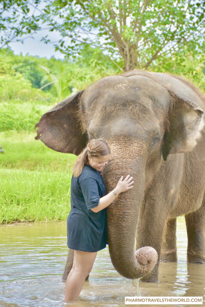 balinese elephant, best elephant mud fun bali