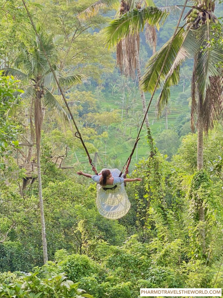 best swing in bali, best rice terrace view