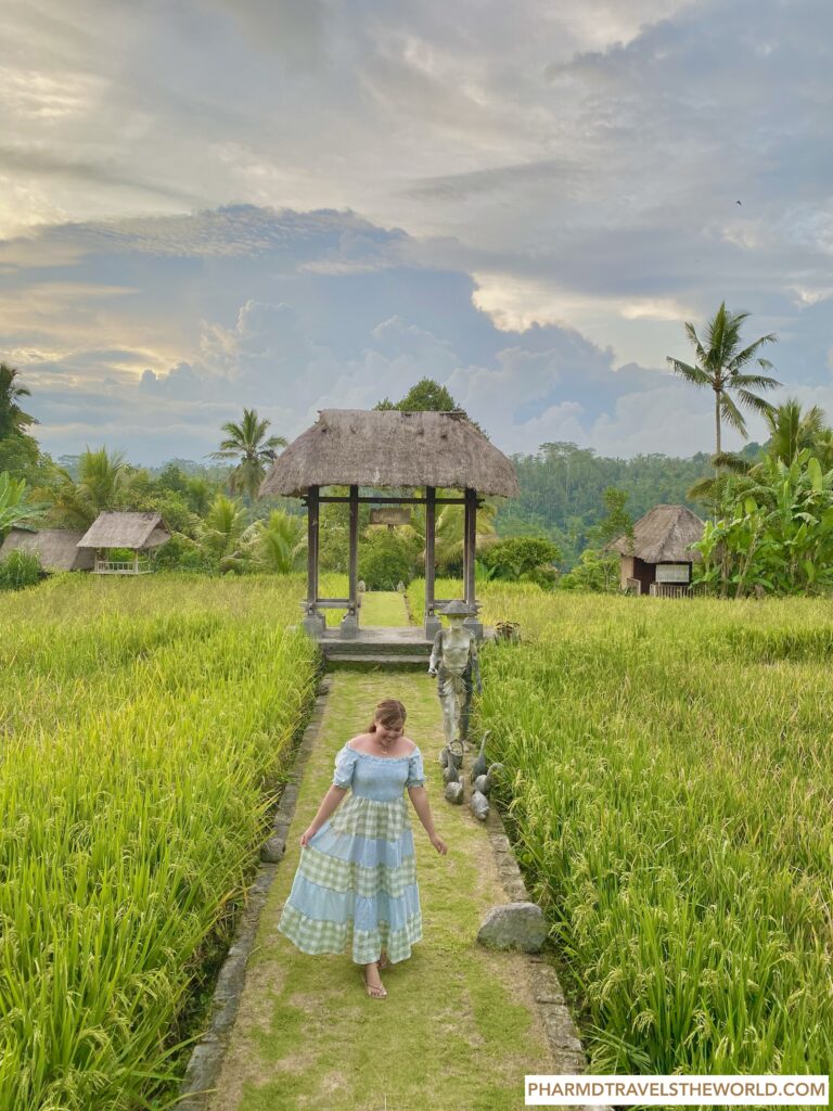 best view in bali