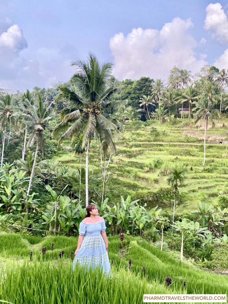 best rice terrace view bali