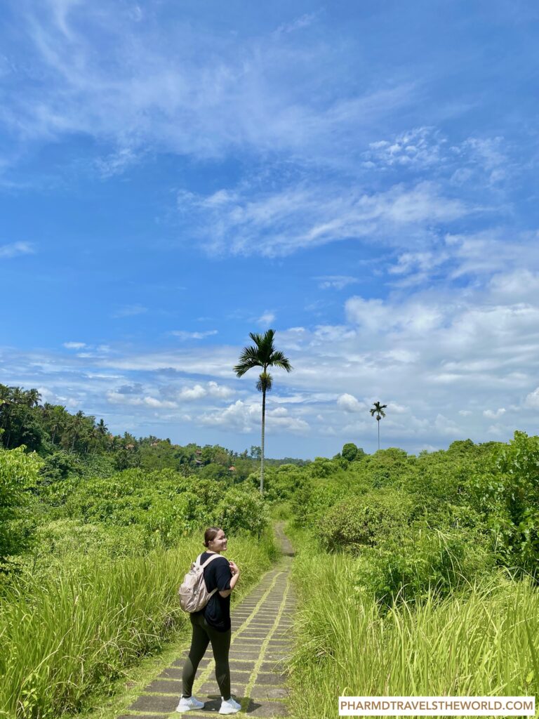 best view Campuhan Ridge Walk